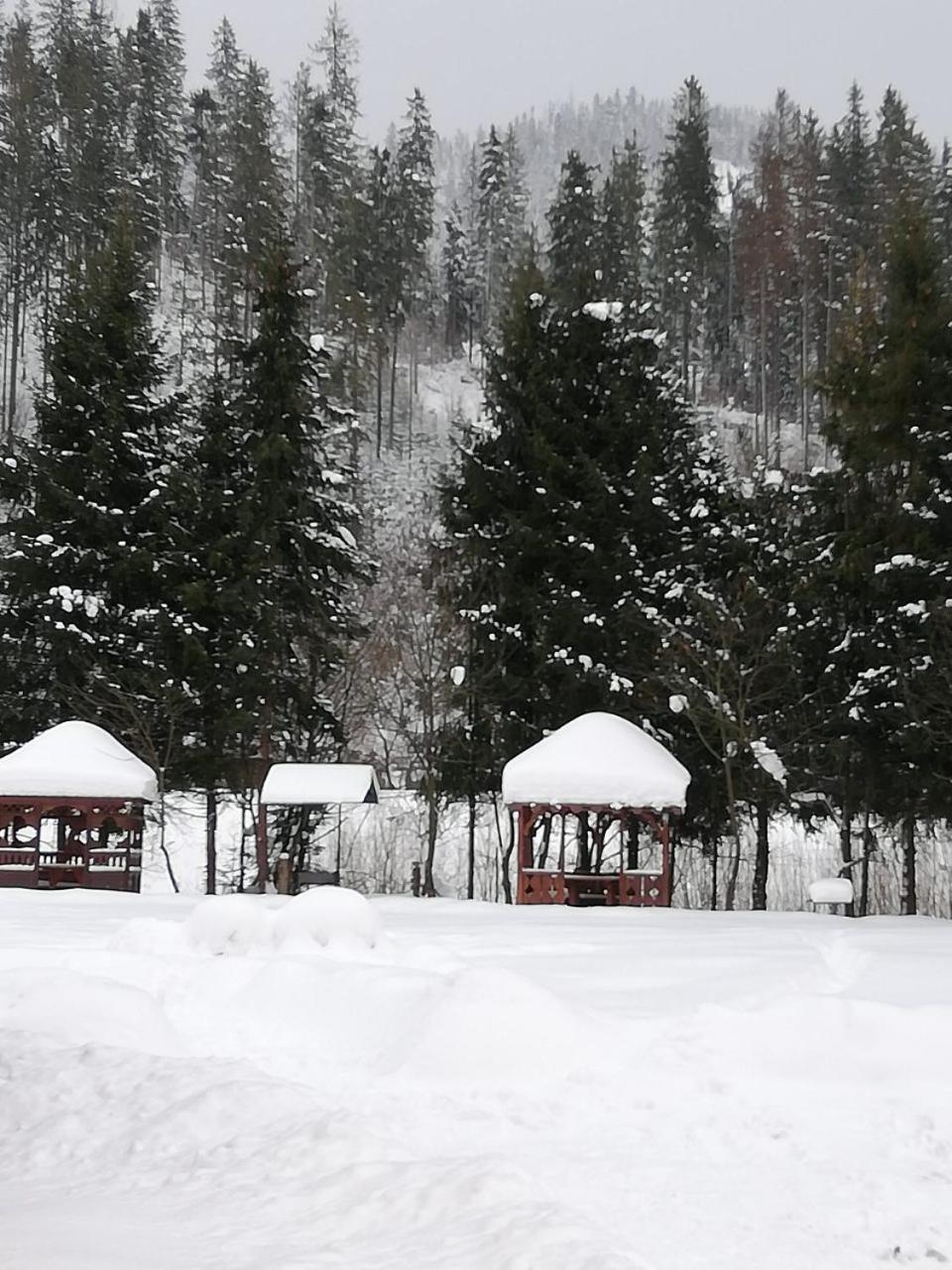 Кукулька Міні-Готель Slavske Esterno foto